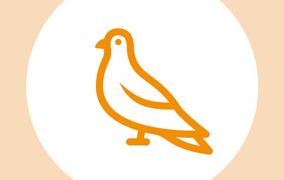COVID-19 Resources